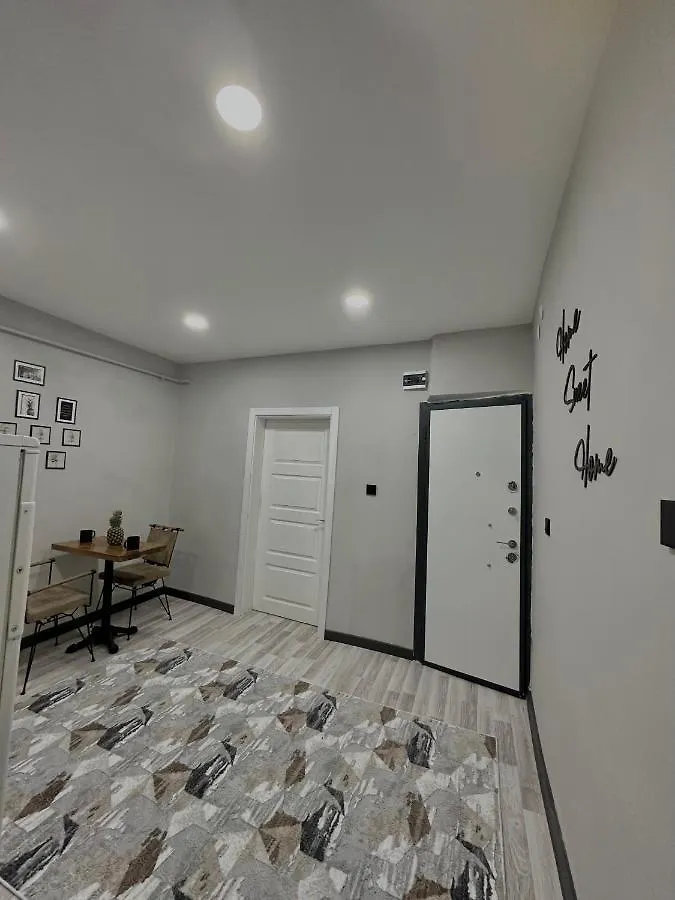 伊斯坦布尔Taksim No 9公寓 公寓 伊斯坦布尔