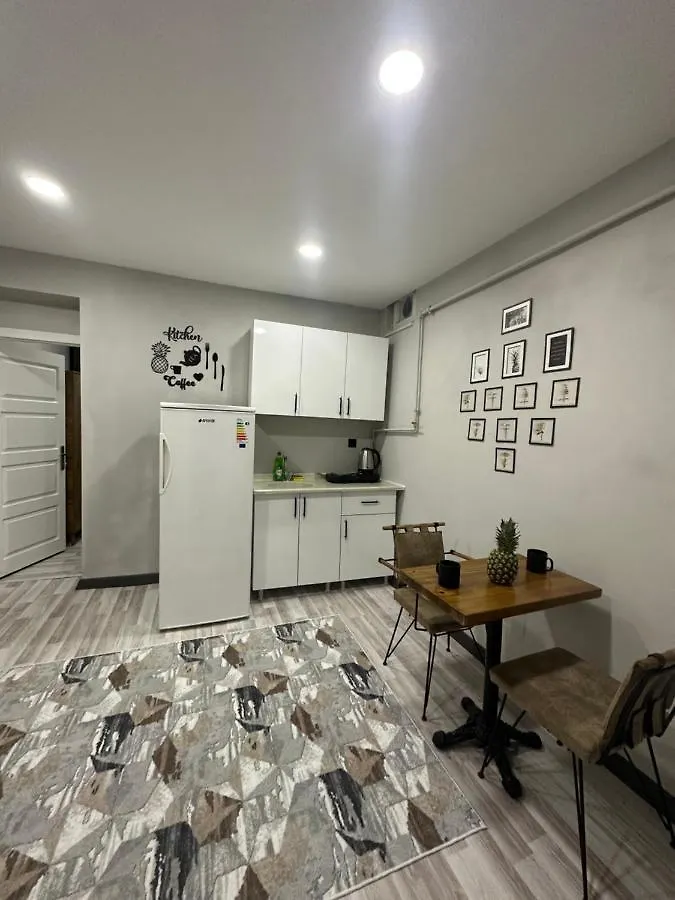 伊斯坦布尔Taksim No 9公寓 土耳其